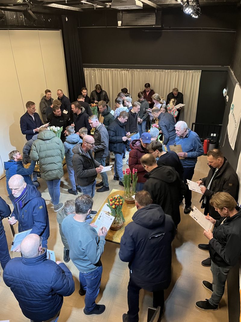 Wervershoof-3e tulpenbeoordeling_2026